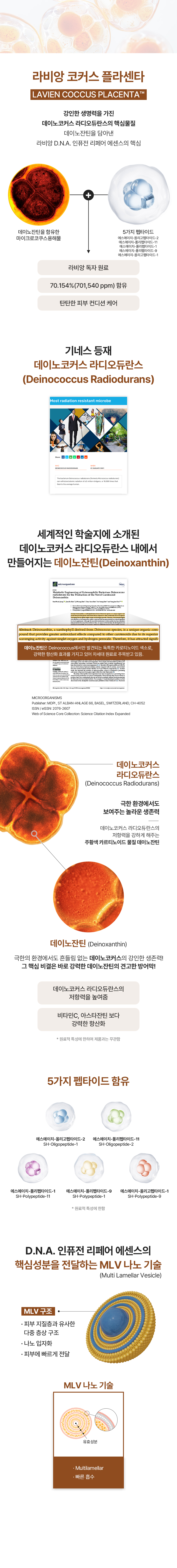 DNA essence_02.jpg